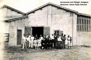 939- Nemours Pelegri Papa Falcone